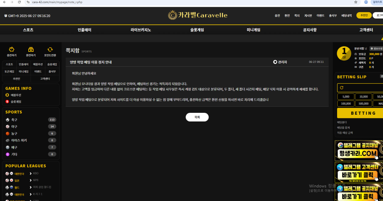 카라벨2.png